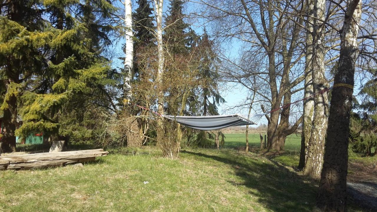Wellness Chalet Nr 8 Kellenhusen Exterior photo